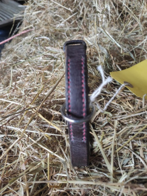 Handstitched small dog collar 